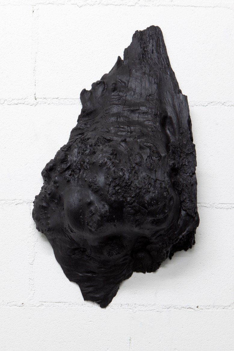 Tim Silver and Jonathan Jones: Echo 2014. Photo: Jamie North Tim Silver and Jonathan Jones: Echo 2014. . Photo: Jamie North